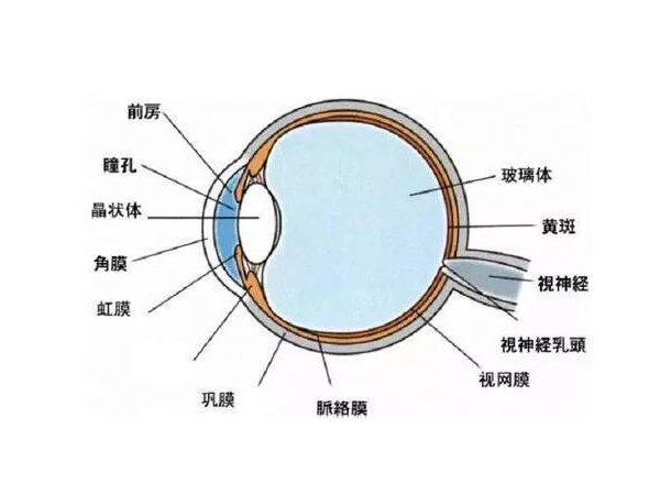小心！高溫性眼灼傷
